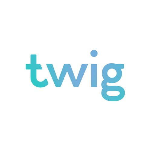 Аккаунты Twig + VCC USA саморег