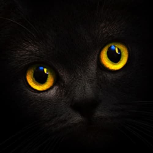 Аккаунты Blackcatcard USA саморег